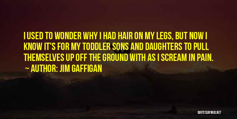 Pull My Hair Quotes By Jim Gaffigan