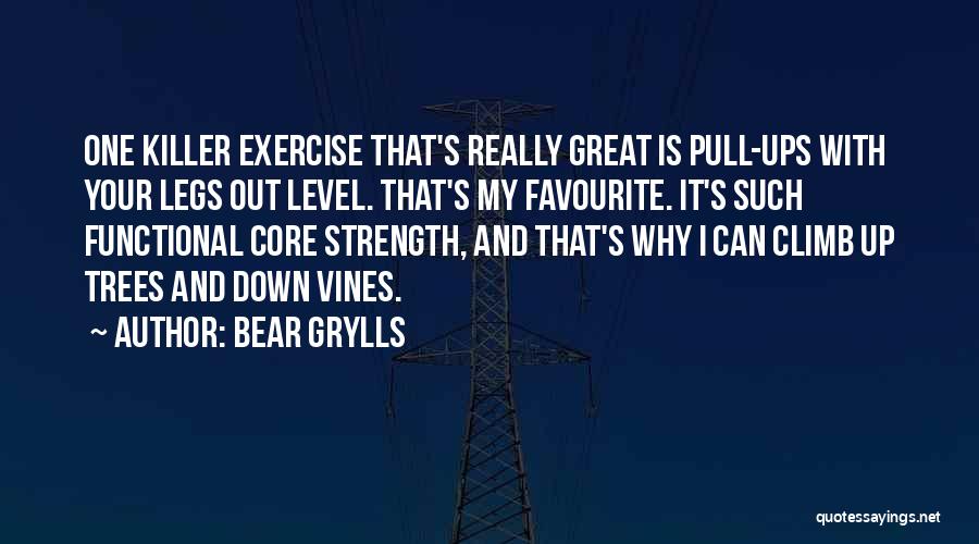 Pull Ups Quotes By Bear Grylls