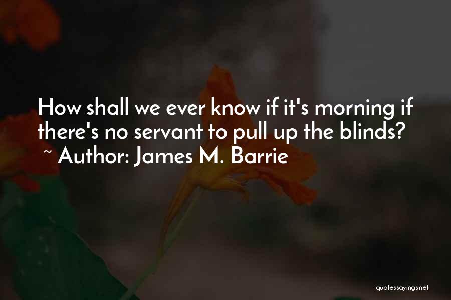 Pull Ups Quotes By James M. Barrie