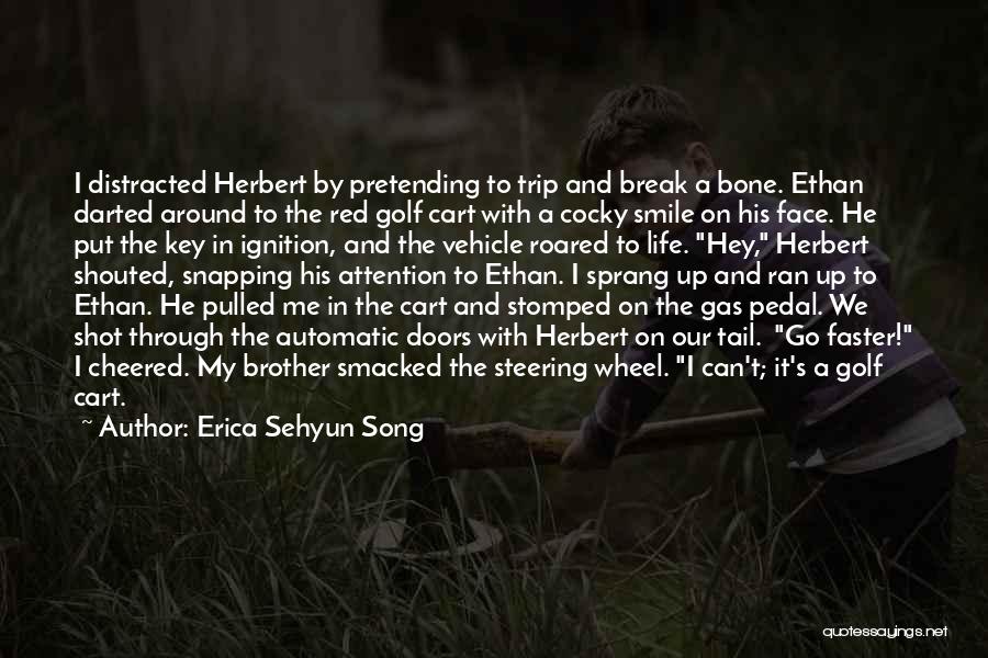 Pulled Under Novel Quotes By Erica Sehyun Song