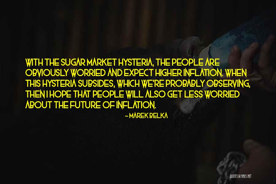 Pullens Quotes By Marek Belka Pullens Quotes By Marek Belka