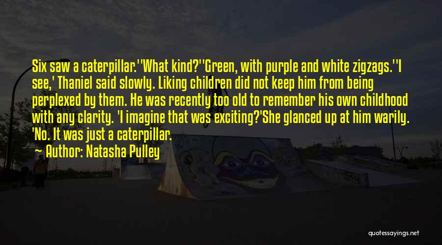 Pulley Quotes By Natasha Pulley