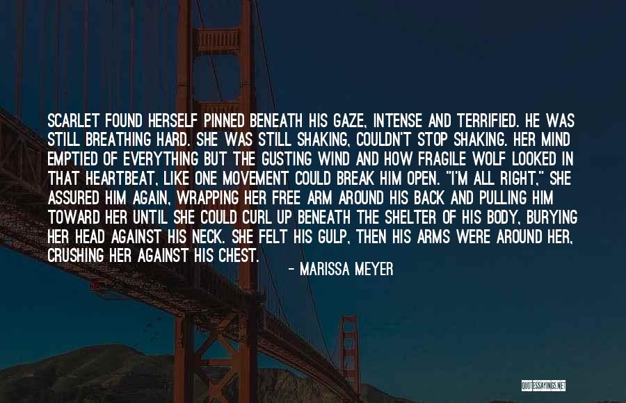 Pulling Back Quotes By Marissa Meyer