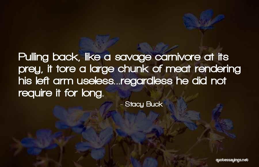 Pulling Back Quotes By Stacy Buck