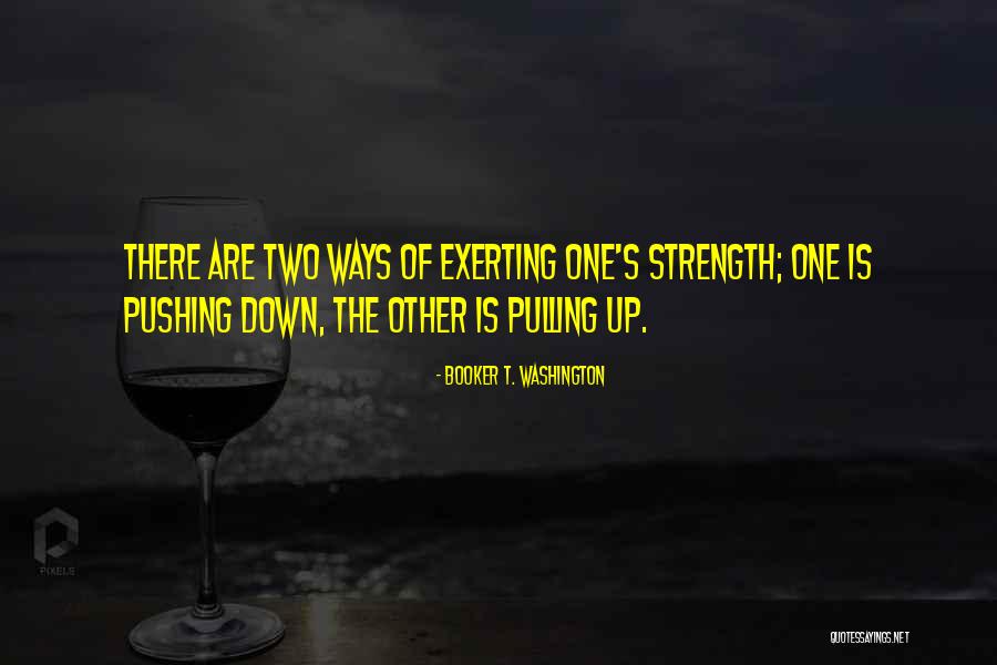 Pulling Down Quotes By Booker T. Washington Pulling Down Quotes By Booker T. Washington