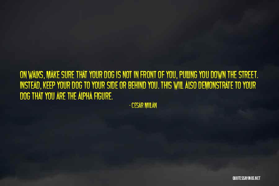Pulling Down Quotes By Cesar Millan Pulling Down Quotes By Cesar Millan
