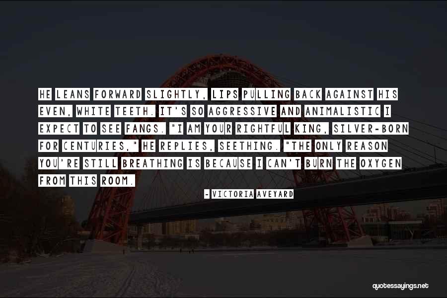 Pulling Teeth Quotes By Victoria Aveyard Pulling Teeth Quotes By Victoria Aveyard