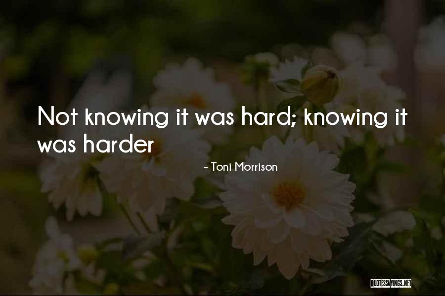 Pullinger Leisure Quotes By Toni Morrison Pullinger Leisure Quotes By Toni Morrison