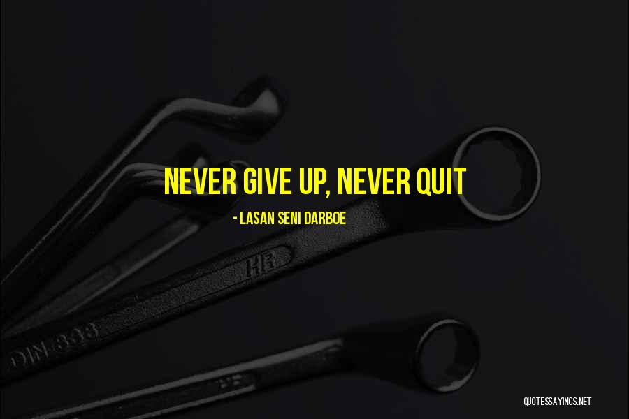 Pullout Spray Quotes By Lasan Seni Darboe Pullout Spray Quotes By Lasan Seni Darboe