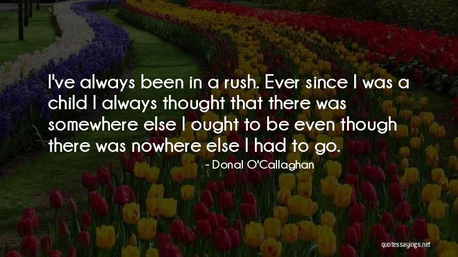 Pulls For Cabinets Quotes By Donal O'Callaghan Pulls For Cabinets Quotes By Donal O'Callaghan