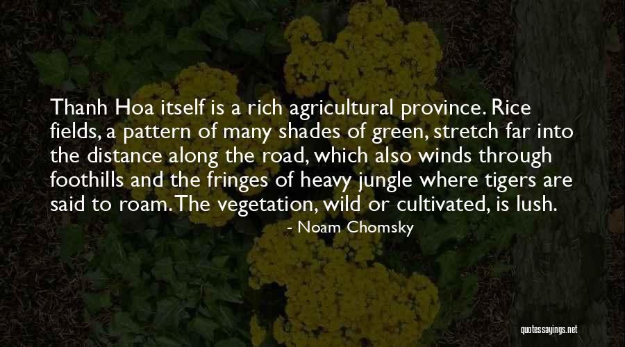 Pully Quotes By Noam Chomsky Pully Quotes By Noam Chomsky