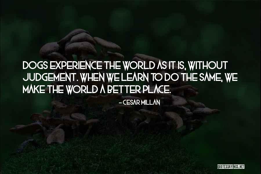 Pulposus Quotes By Cesar Millan Pulposus Quotes By Cesar Millan