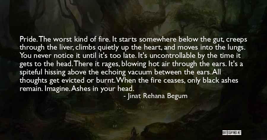 Pumayana Quotes By Jinat Rehana Begum Pumayana Quotes By Jinat Rehana Begum