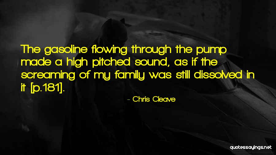 Pump It Quotes By Chris Cleave