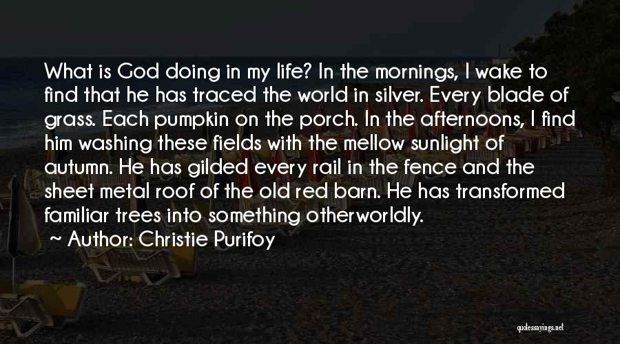 Pumpkin Quotes By Christie Purifoy