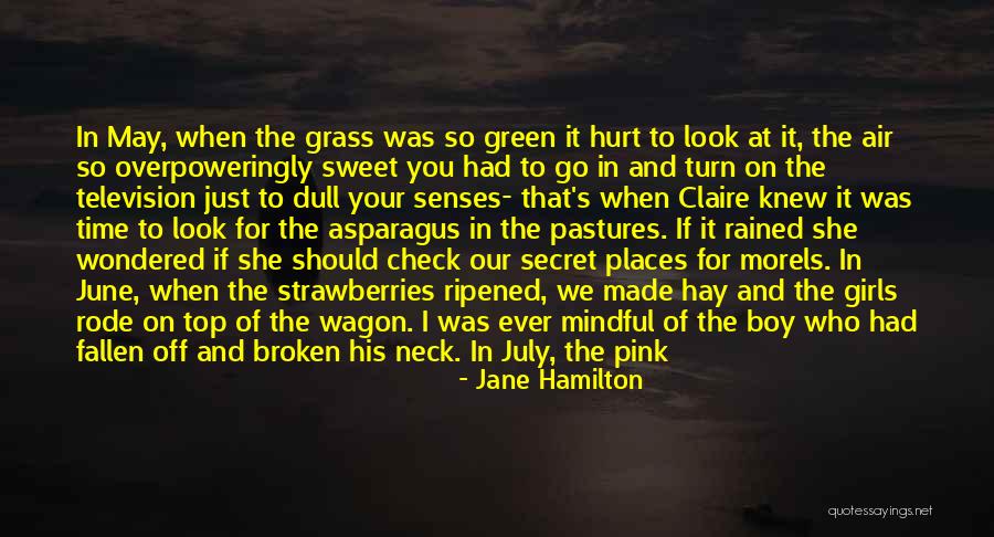 Pumpkin Quotes By Jane Hamilton