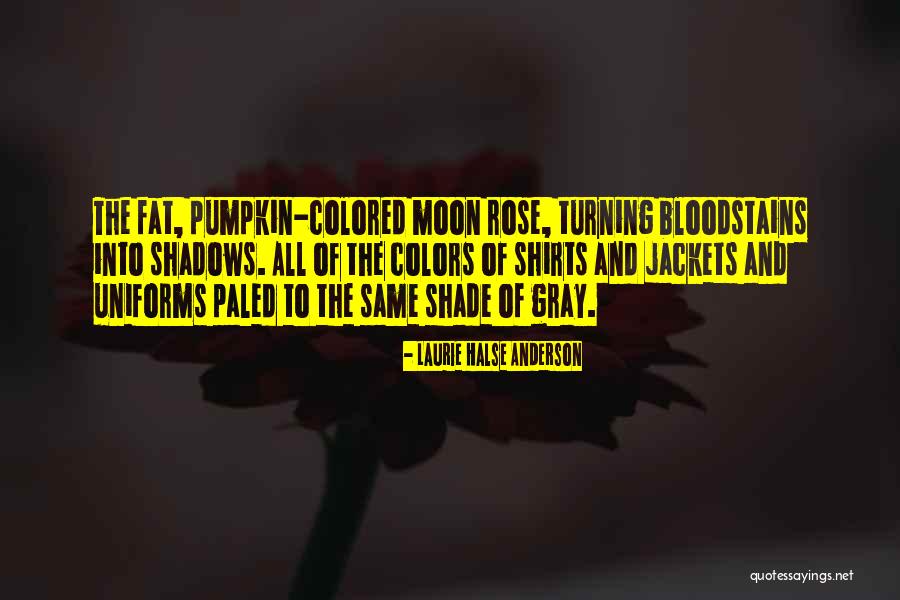 Pumpkin Quotes By Laurie Halse Anderson