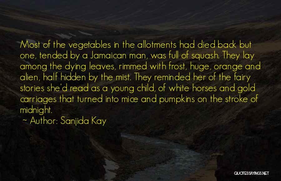 Pumpkins Quotes By Sanjida Kay