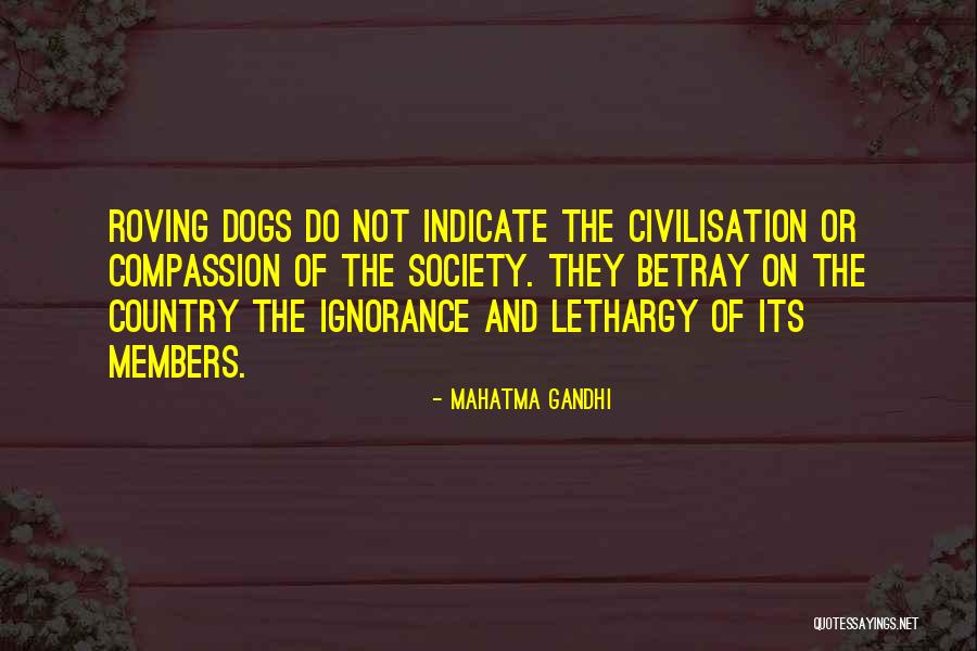 Pumps Direct Quotes By Mahatma Gandhi Pumps Direct Quotes By Mahatma Gandhi