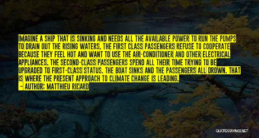 Pumps Quotes By Matthieu Ricard