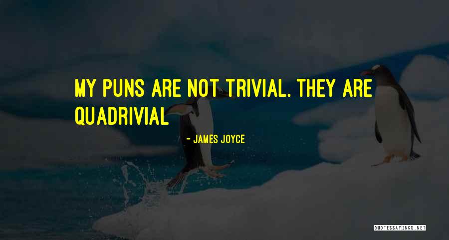 Pun Quotes By James Joyce