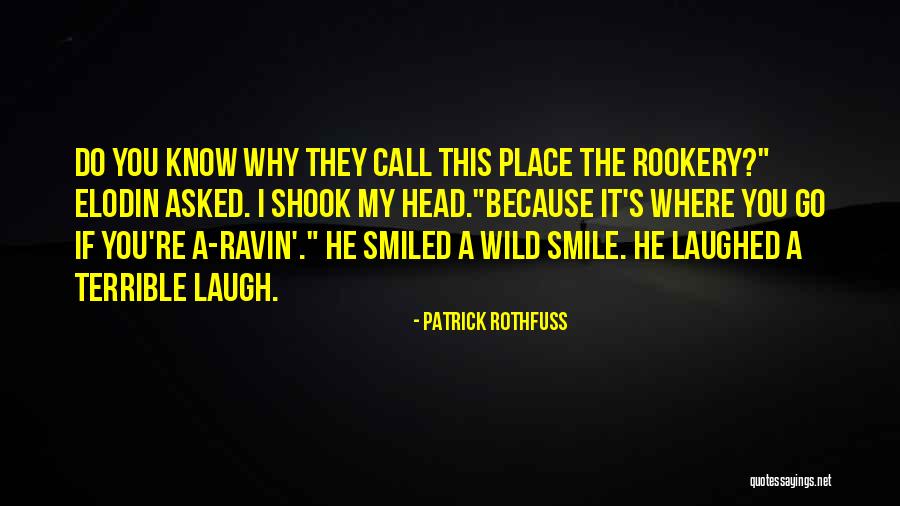 Pun Quotes By Patrick Rothfuss Pun Quotes By Patrick Rothfuss