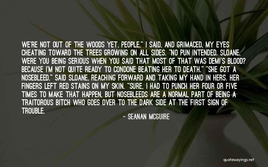 Pun Quotes By Seanan McGuire Pun Quotes By Seanan McGuire