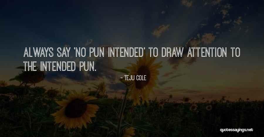 Pun Quotes By Teju Cole Pun Quotes By Teju Cole