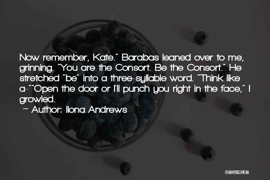 Punch In The Face Quotes By Ilona Andrews