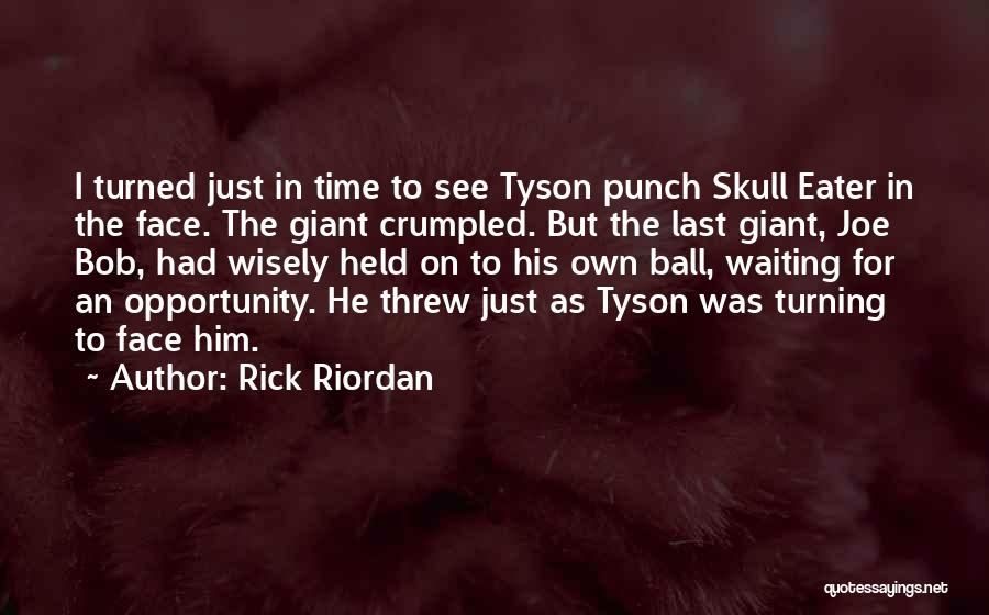 Punch In The Face Quotes By Rick Riordan