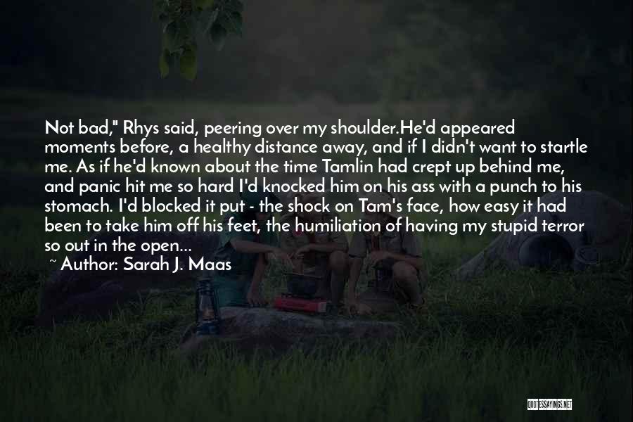 Punch In The Face Quotes By Sarah J. Maas