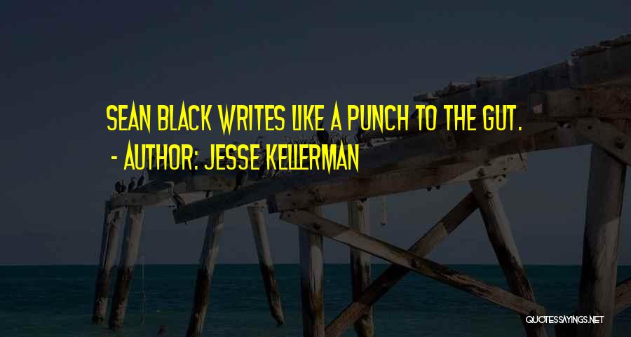 Punch In The Gut Quotes By Jesse Kellerman