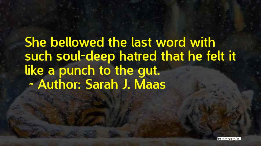 Punch In The Gut Quotes By Sarah J. Maas