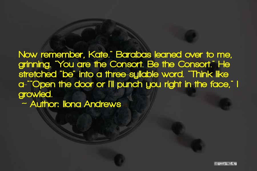 Punch Someone In The Face Quotes By Ilona Andrews