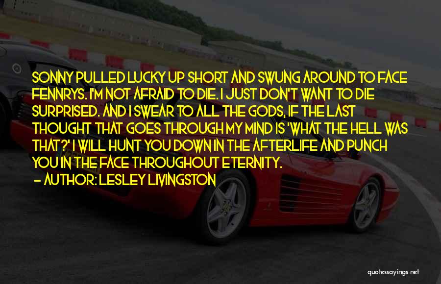 Punch You Face Quotes By Lesley Livingston