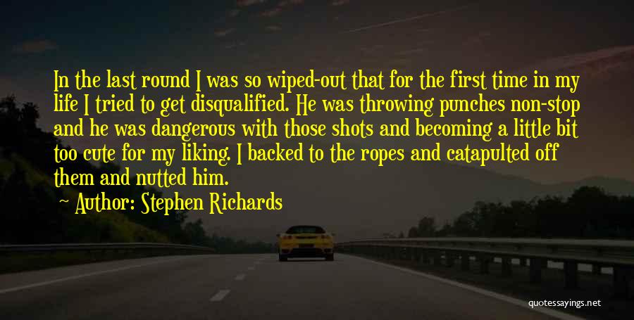 Punches Quotes By Stephen Richards