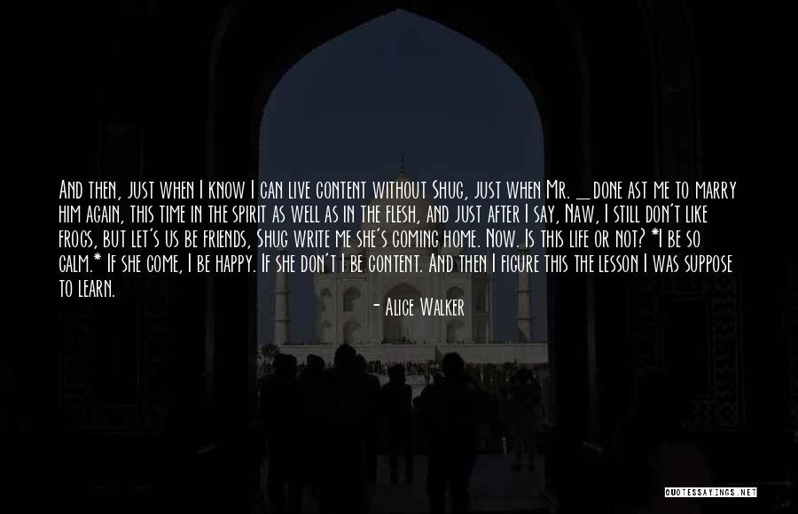 Punchinello Mask Quotes By Alice Walker