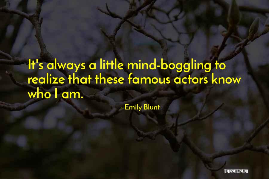 Punching People In The Face Quotes By Emily Blunt