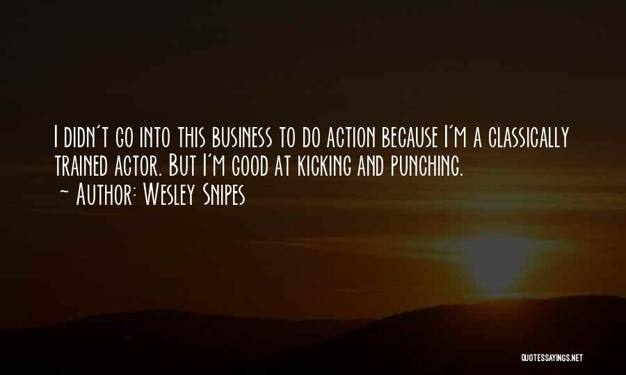 Punching Quotes By Wesley Snipes