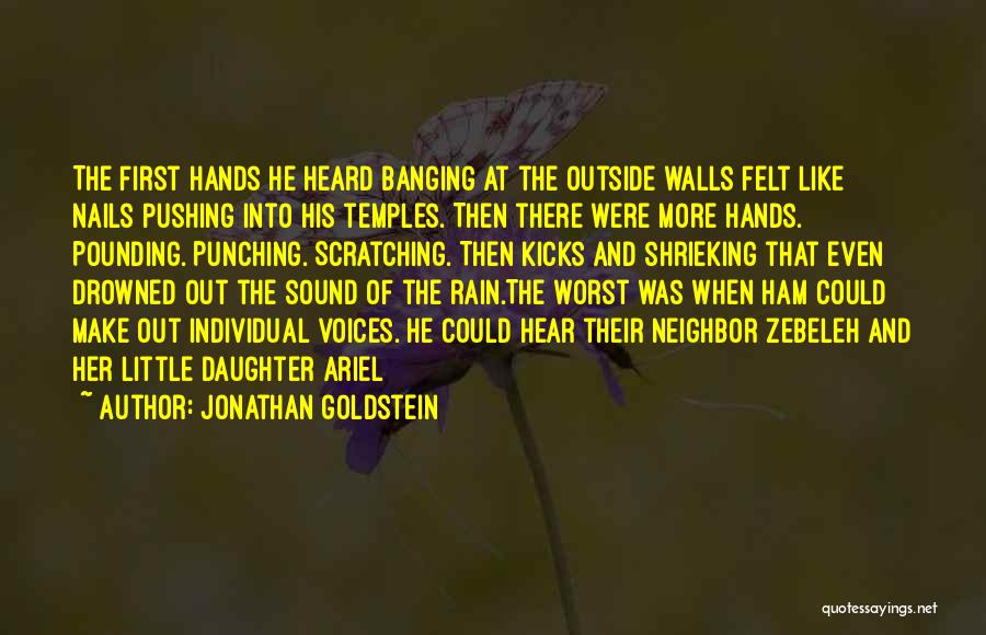 Punching Walls Quotes By Jonathan Goldstein