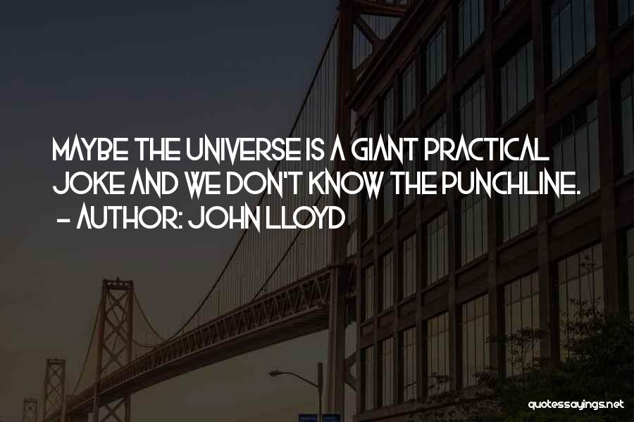 Punchline Quotes By John Lloyd