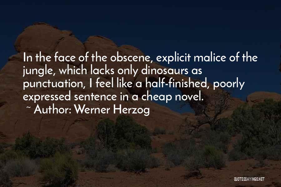 Punctuation In Quotes By Werner Herzog