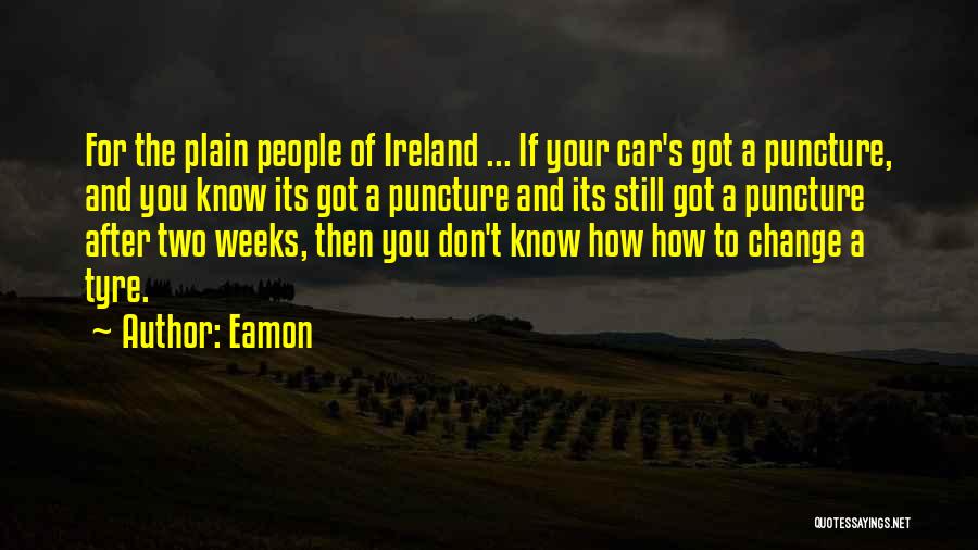 Puncture Quotes By Eamon