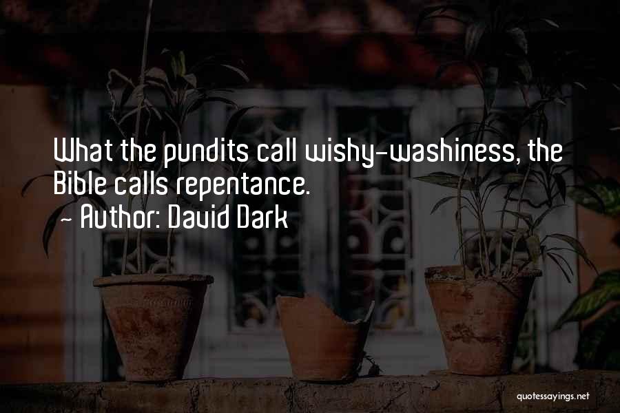 Pundits Quotes By David Dark