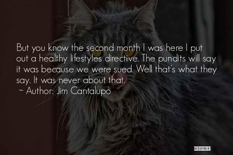 Pundits Quotes By Jim Cantalupo