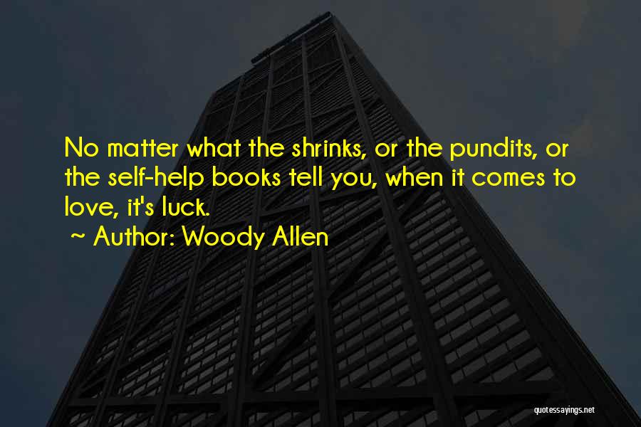 Pundits Quotes By Woody Allen