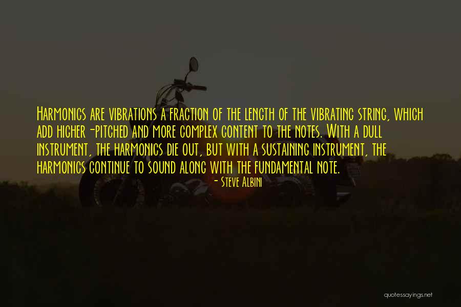 Pune Mirror Quotes By Steve Albini Pune Mirror Quotes By Steve Albini