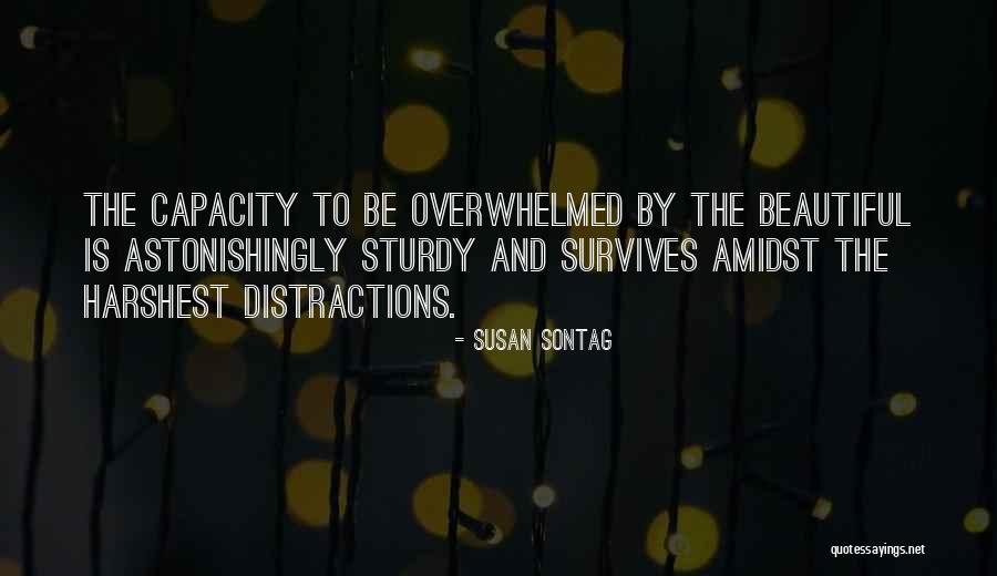 Punekardjs Quotes By Susan Sontag Punekardjs Quotes By Susan Sontag