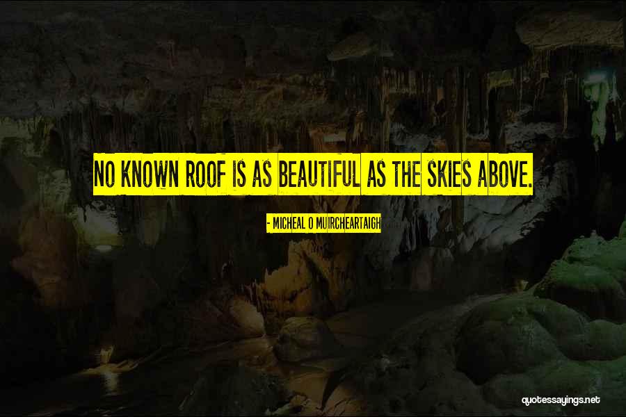 Punga Movie Quotes By Micheal O Muircheartaigh Punga Movie Quotes By Micheal O Muircheartaigh