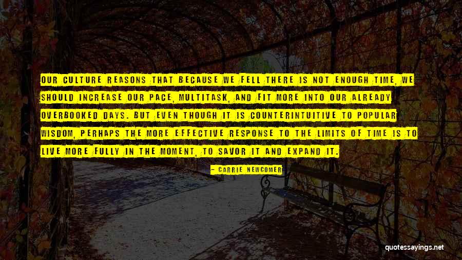 Punica Quotes By Carrie Newcomer Punica Quotes By Carrie Newcomer